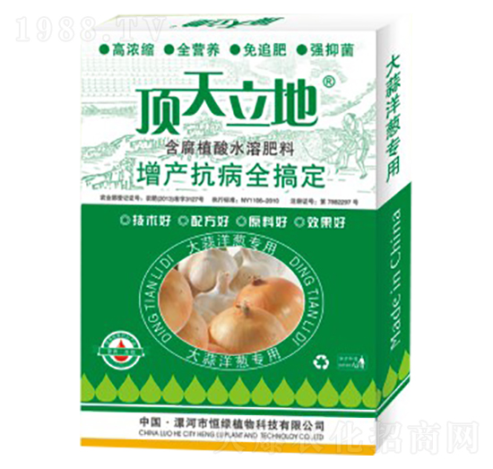 大蒜洋蔥專用含腐植酸水溶肥料-頂天立地-恒綠植物