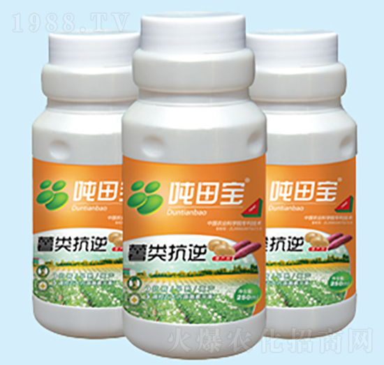 ���(l��i)���挣(zhu��n)����-���-�����S��