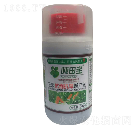 ���׿����������a(ch��n)��-���-�����S��