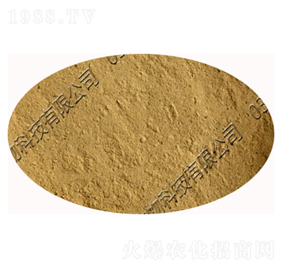 ��ճ�ѿ�ߗU���������-�������