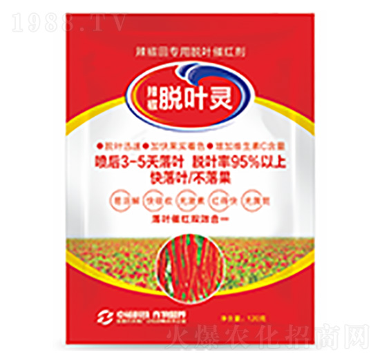 Ó�~�`-�����Ƽ�