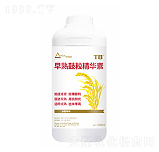 ����������A��-�����Ƽ�