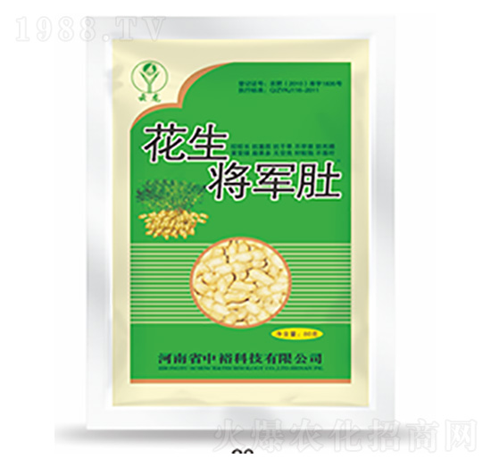 ������܊��-�����Ƽ�