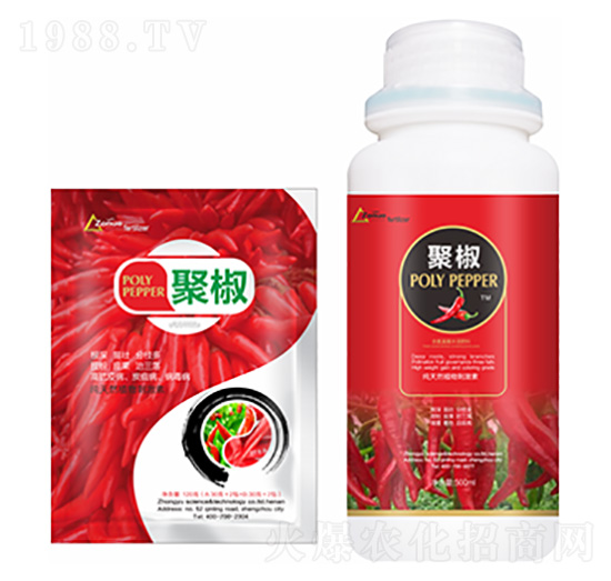 �۽�-�����Ƽ�