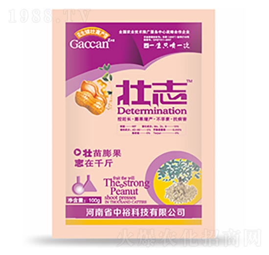 ��־-�����Ƽ�