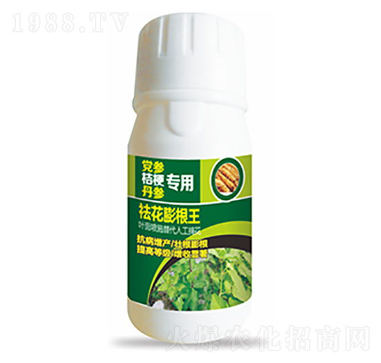 �h���۹���������-������-�����Ƽ�