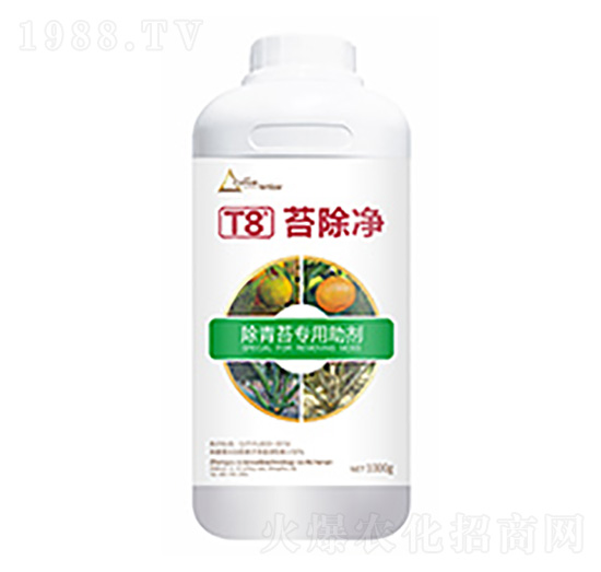 ̦����T8-�����Ƽ�