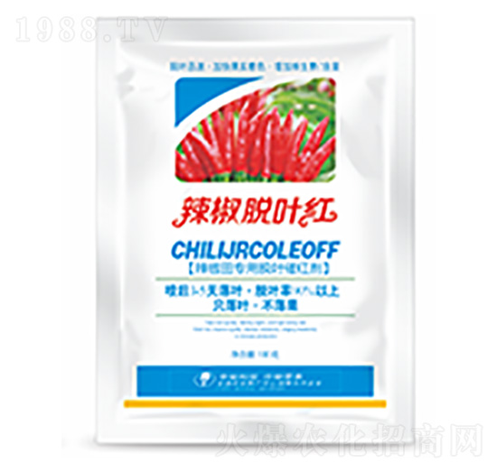 ����Ó�~�t-�����Ƽ�