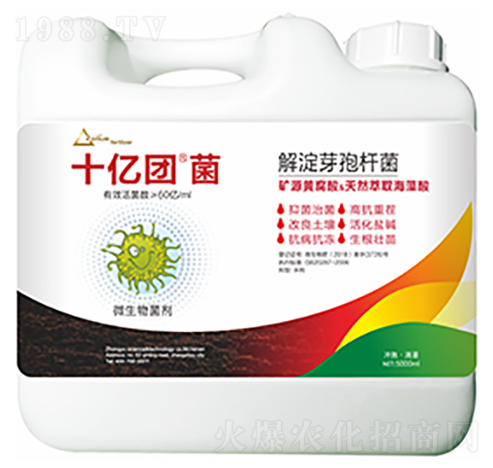 ���ѿ�ߗU��-ʮ�|�F��-�����Ƽ�