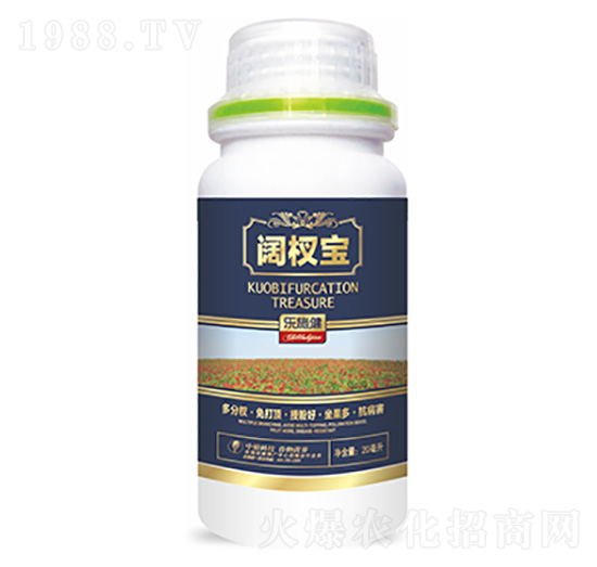 �辌�-�����Ƽ�