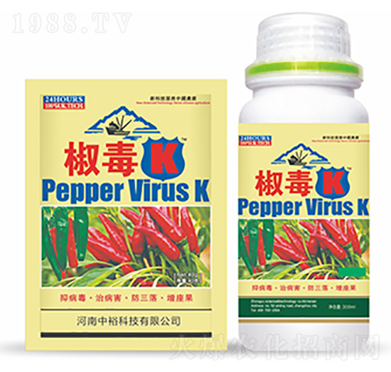 ����K-�����Ƽ�