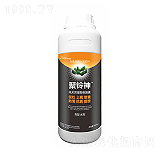 �����-�����Ƽ�