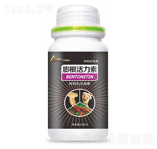 ��ˎ�Č������������-�����Ƽ�