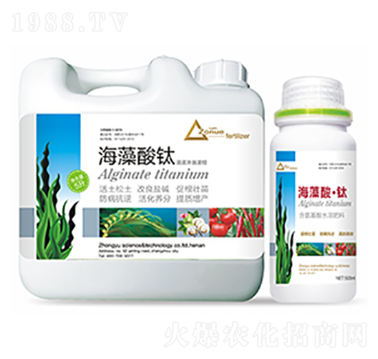 �������-�����Ƽ�