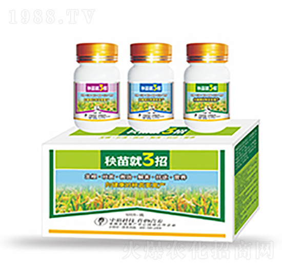 �����3��-�����Ƽ�