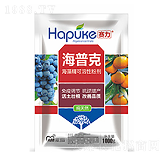 賽力海普克-中?？萍? style=