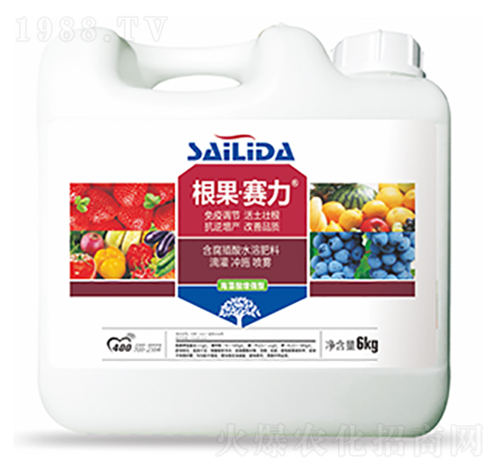 ����ِ��-�����Ƽ�