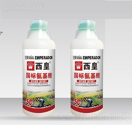 國標氨基酸-西皇-普雷斯頓