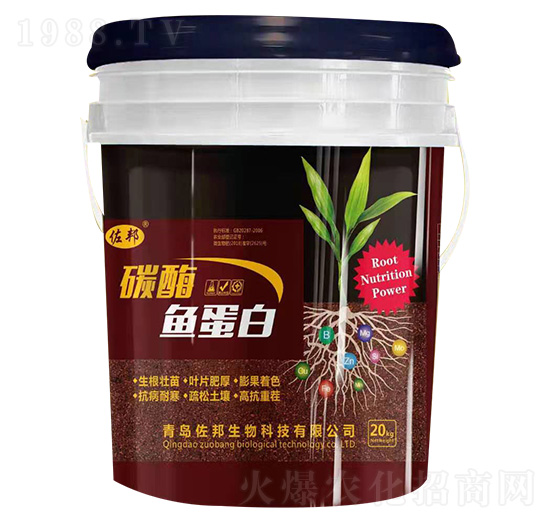 ̼ø�~(y��)����-����