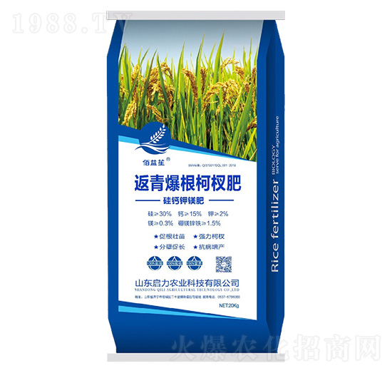 硅鈣鉀鎂中微量元素肥-返青爆根柯權(quán)肥-啟力農(nóng)業(yè)