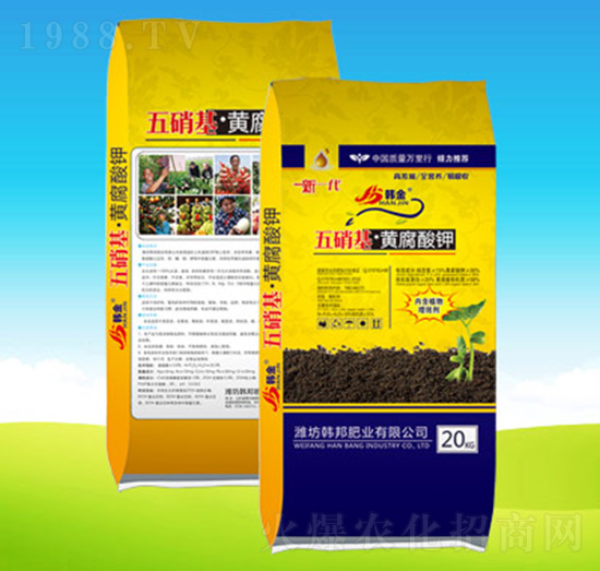 ���������S�����-�n��ʘI(y��)