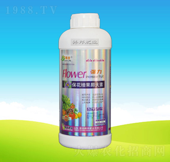 �������������-�n��ʘI(y��)