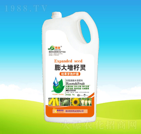 ��������`-�n��ʘI(y��)