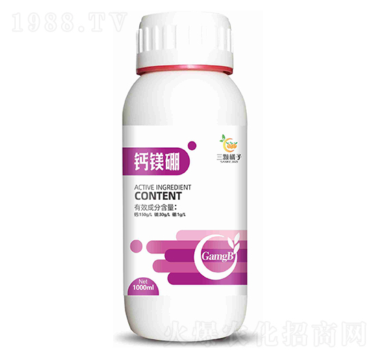 �}�V��-���w����