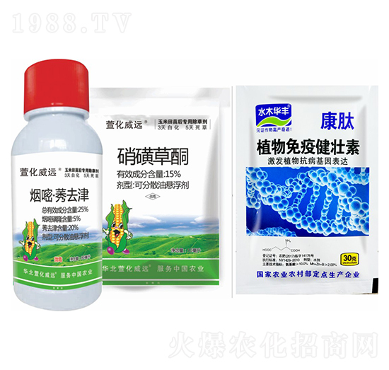 煙嘧莠去津+硝磺草酮+植物免疫健壯素-萱化威遠(yuǎn)