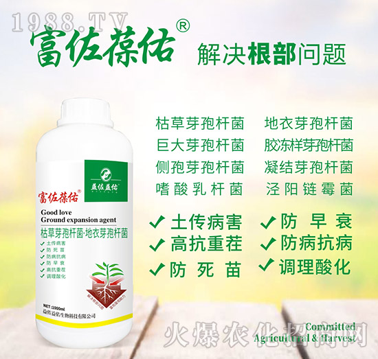 富佐葆佑-益佐益佑