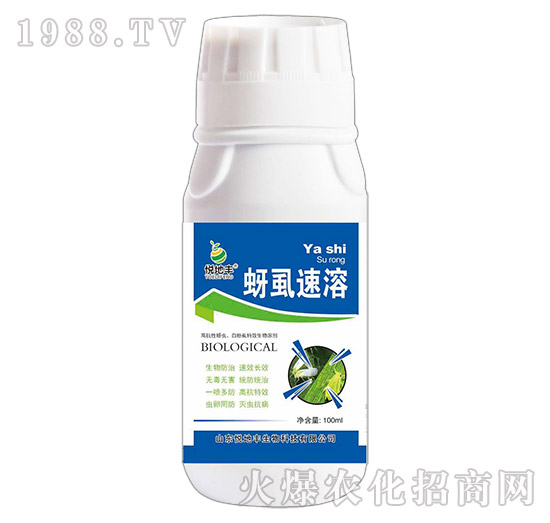 �����Ƅ�-��ʭ����-�����S����