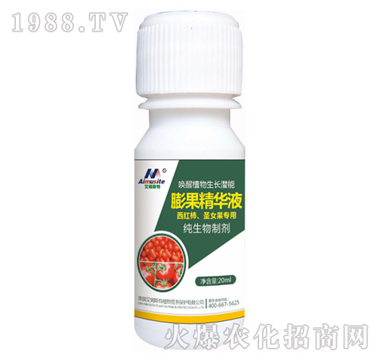 �������Ƅ�-���t����ʥŮ������-��ķ˹��