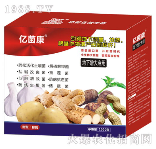 地下增大專用-億菌康R-盛澤坤