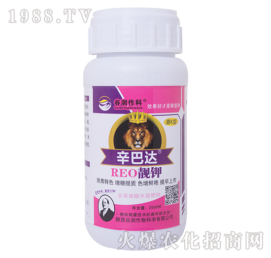 �n�-�����_(d��)-�ȝ�����