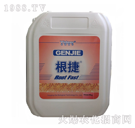 ����-� �����