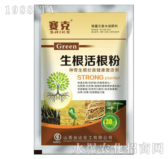 ���������-ِ��-�_�_