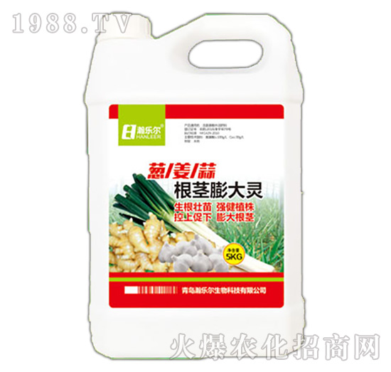 根莖膨大靈-瀚樂爾