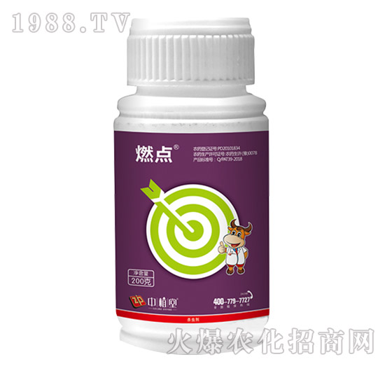 燃點(diǎn)-中植堂