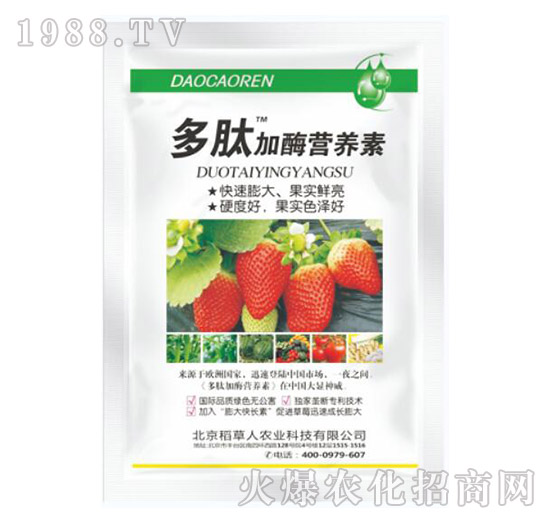 ���ļ�ø�I(y��ng)�B(y��ng)��-������