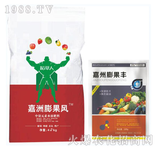 嘉州膨果豐-稻草人