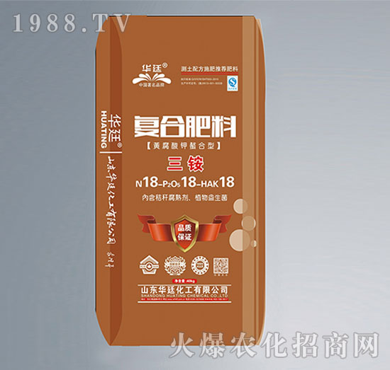 �S�����������-��(f��)�Ϸ���-�A͢����