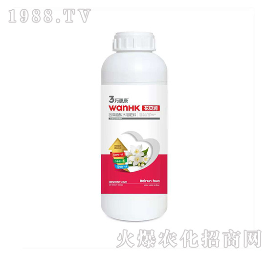 ��ؐ��-�f�ݿ�