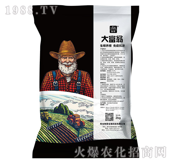 ����-�´�����