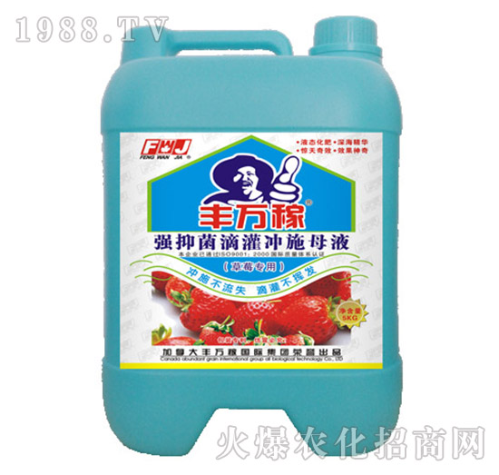 草莓專用強抑菌滴灌沖施母液-豐萬稼