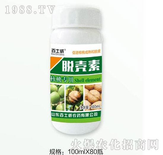 ���Ҍ���Ó����-��ʿ��