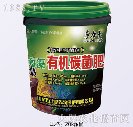 �����ЙC(j��)̼����-��ʿ��