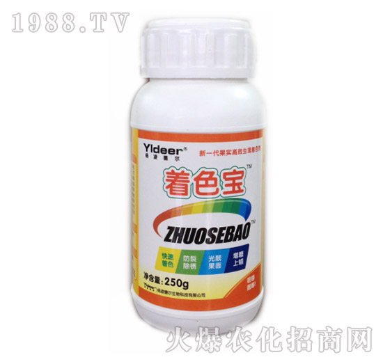 ��ɫ��-� �����