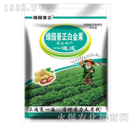 花生豐產(chǎn)一遍成-綠園普正白金果-普正農(nóng)業(yè)