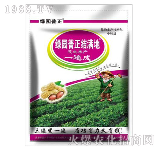花生豐產(chǎn)一遍成-綠園普正結(jié)滿地-普正農(nóng)業(yè)