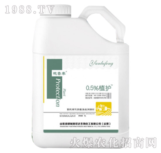 0.5%ֲ�o-�G���S-���_����